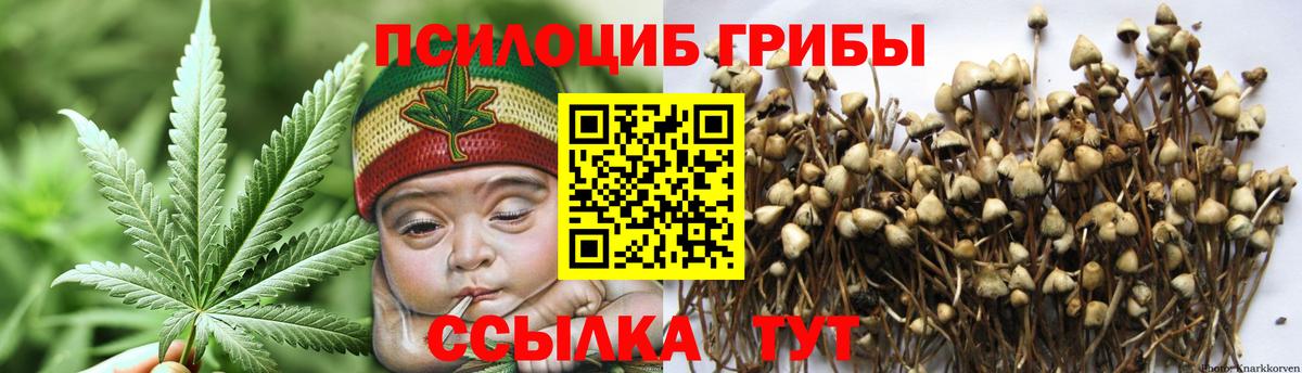 Пенза  Псилоцибиновые грибы мухоморы  Вход с VPN 